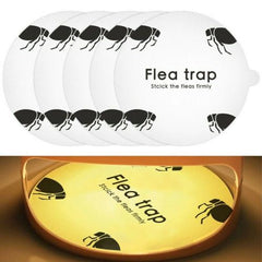 Disposable Sticky Dome Flea Trap Refills - Safe & Effective Pest Control - 5PC