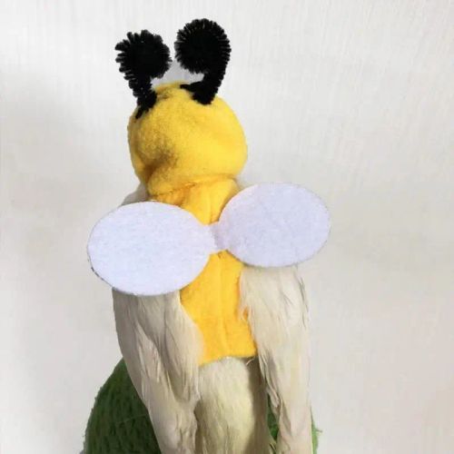 Bee Costume Bird Clothes for Parrots & Small Pets - Soft & Comfortable Suit