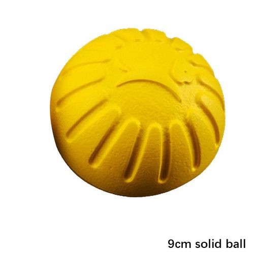 Interactive Dog Toy Ball - Durable Floating Pet Training Toy