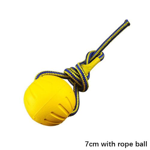 Interactive Dog Toy Ball - Durable Floating Pet Training Toy