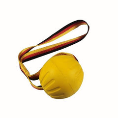 Interactive Dog Toy Ball - Durable Floating Pet Training Toy