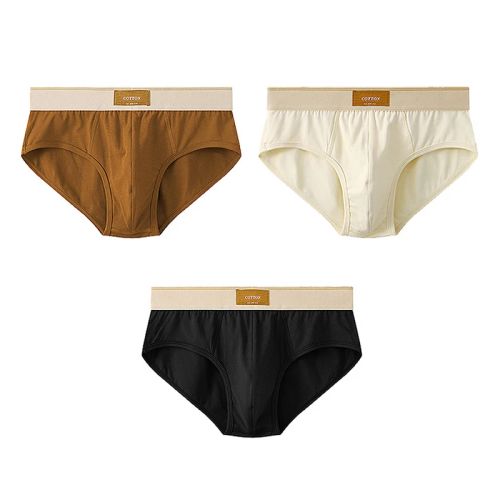 Breathable Cotton Underwear - Comfort Fit Men’s Briefs in Multicolour - AE001 / XL