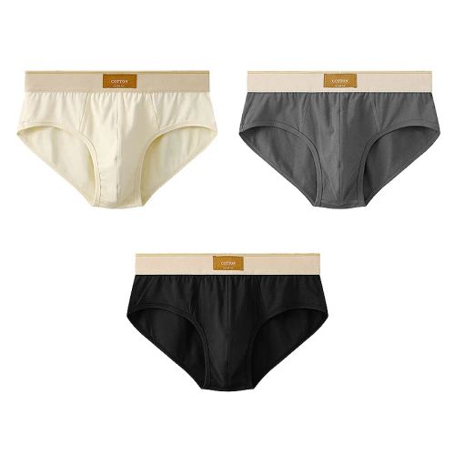 Breathable Cotton Underwear - Comfort Fit Men’s Briefs in Multicolour - AE004 / XL