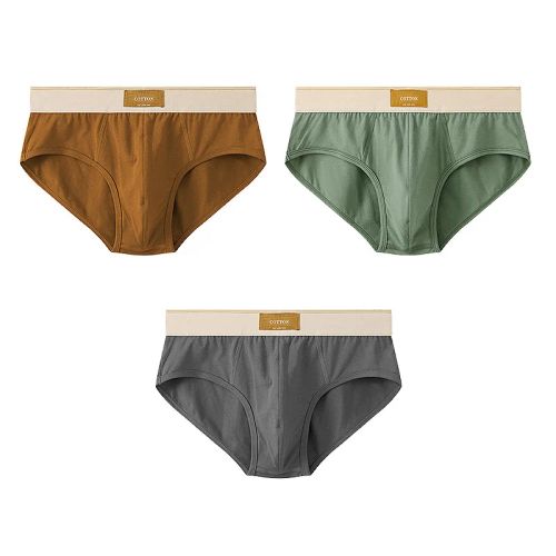 Breathable Cotton Underwear - Comfort Fit Men’s Briefs in Multicolour - AE005 / L