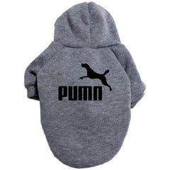 Casual Warm Dog Hoodie for Autumn/Winter - Fashionable Pet Clothes