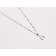 Wishful Silver Necklace